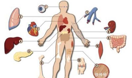 脏腑相通,五脏的生理功能多奇妙