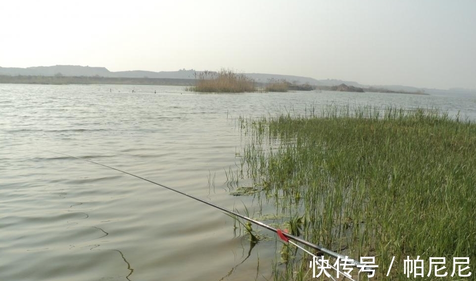 钓鱼|冬天先搞清楚鱼在深水还是在浅水，才能不空军