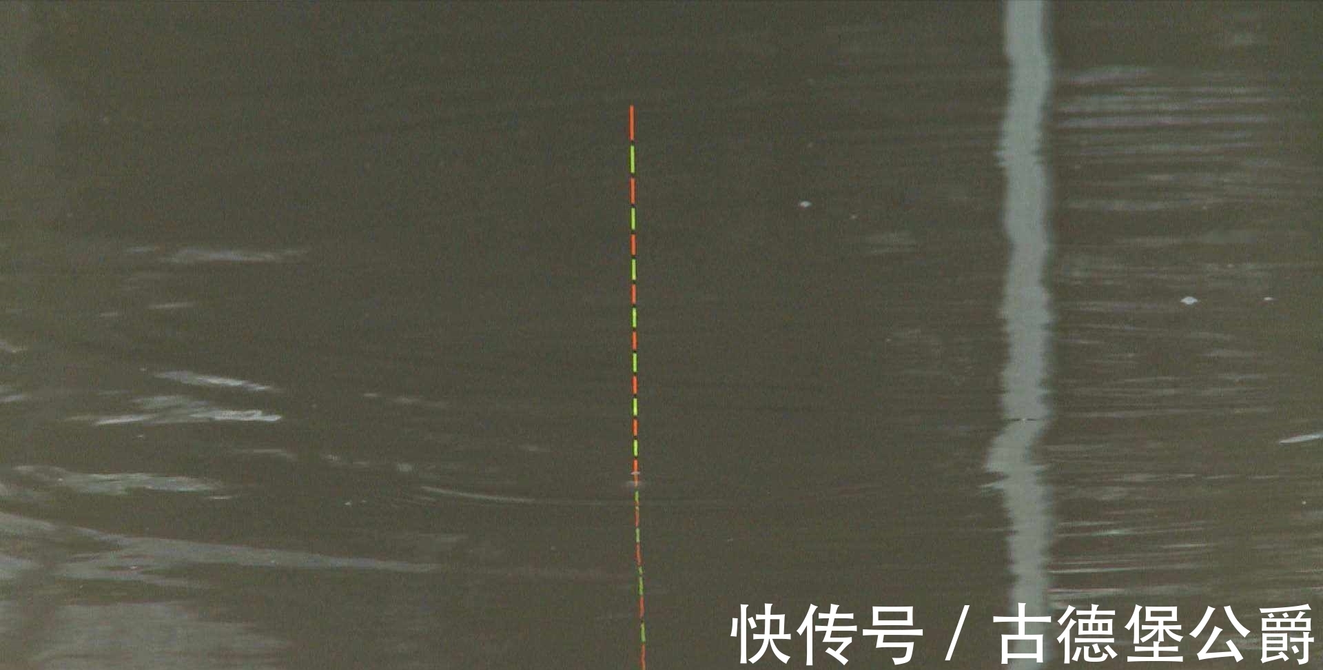 钓鱼|搞明白浮漂产生动作的原因,就知道怎么钓鱼了