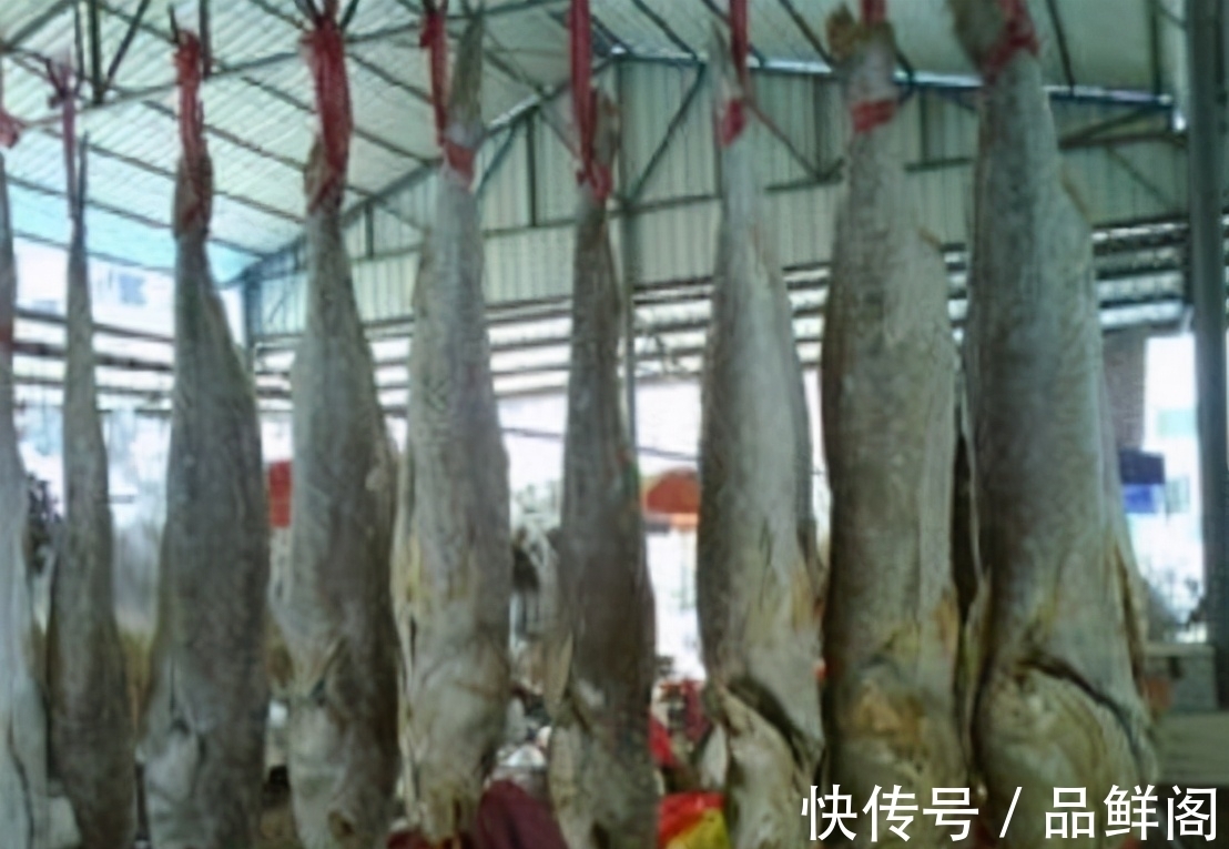 二甲基|5类鱼没营养,对人体有害,但很多人爱吃