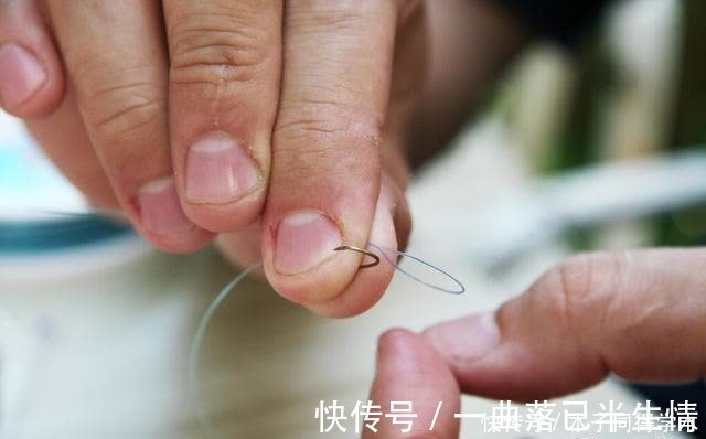 时机|传统钓抬竿时机的把握，增加鱼获只需掌握这几点