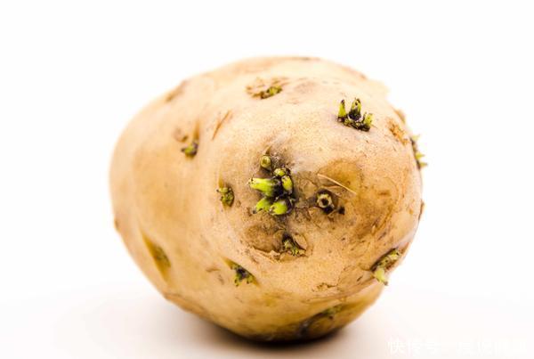 蔬菜发芽还能吃吗?医生提醒:遇到这3种,营养