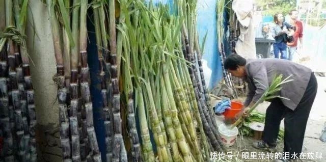  余杭人的心头好，即将上市！曾经风靡全国，很多人小时候都吃过！