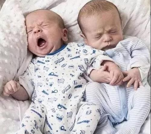 补习班|双胞胎弟弟出生后就没了呼吸,哥哥下意识的暖心举动唤来“奇迹”