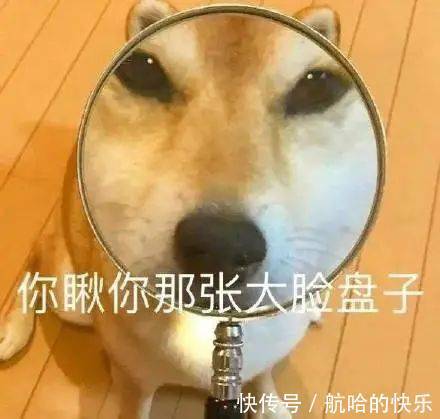 手机|网购到不可描述的手机壳后…差点把自己给送走哈哈哈