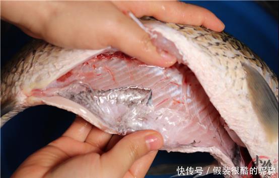 来源|摘除“鱼腥线”就是大错?这4个才是腥味来源,可惜懂的人太少了