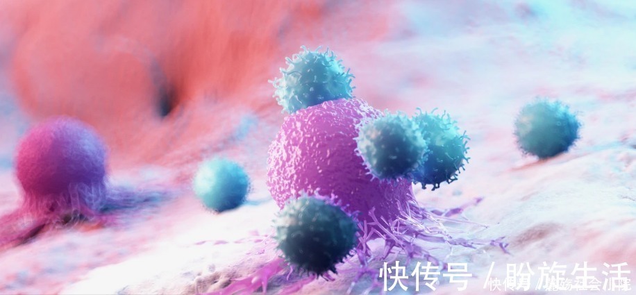 免疫系统|免疫力偏低,容易生病要怎么办?教你几招,赶紧拿个本本记下来