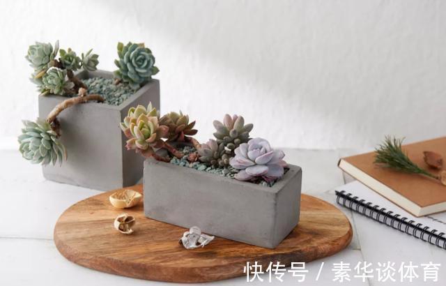 花友们|养多肉，花友们“别踩”这3误区，不然养一盆坏一盆