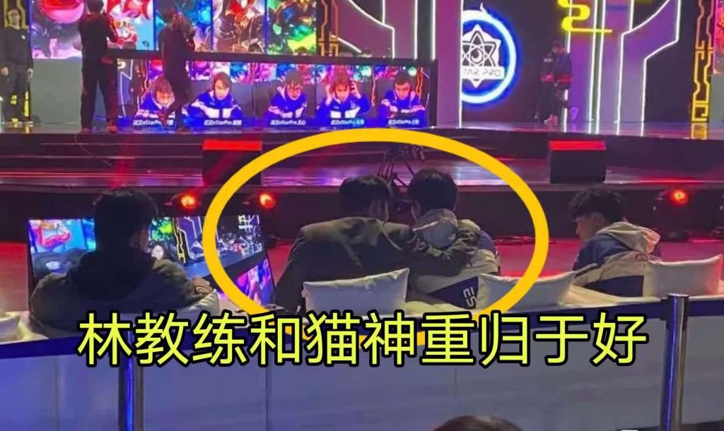 盛赞|林教练透露猫神登场原因，赛后盛赞Cat：发挥非常好，是自己的错！