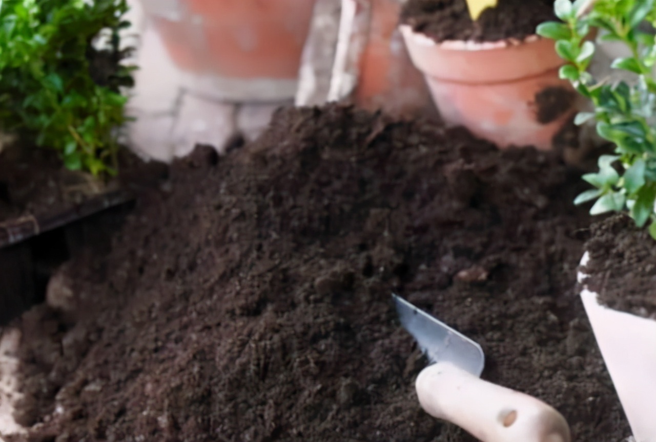 花友们|养花其实不用买土,这么配置万能营养土,有营养又透气