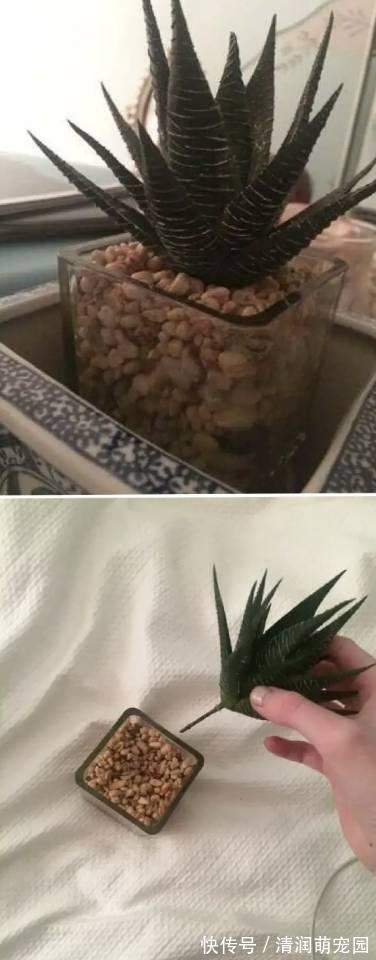 顾客|“某宝顾客强行挑错是什么体验?”商家:我是不是看起来不太聪明