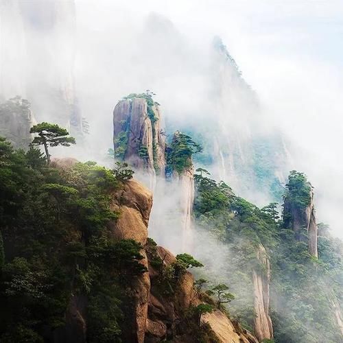 一场春雨过后，三清山开始绿了！