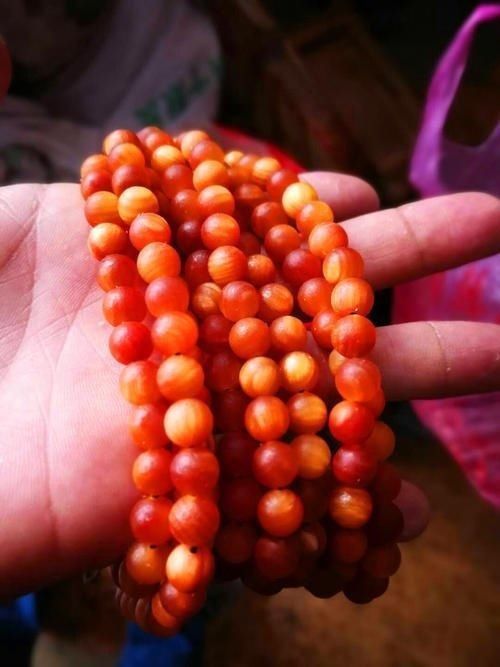 木质文玩|这种木头看上去像蜜蜡,号称“北沉香”,东北人一定见过它