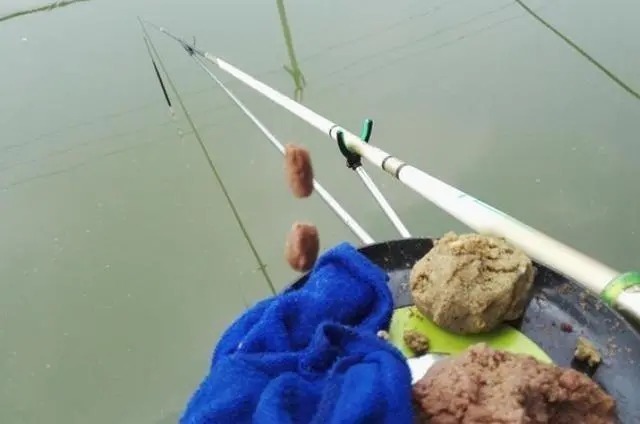 跑鱼率|钓鱼总跑鱼,原来是忽视了这3个地方,以后不要再犯了!