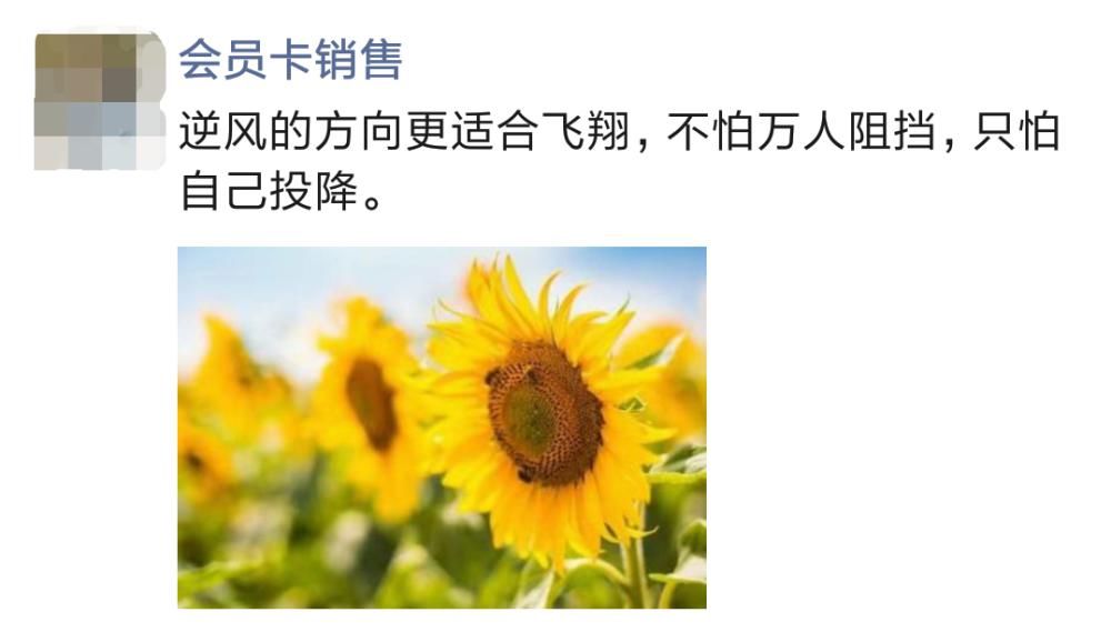  销售的朋友圈，文案水平堪比当代文学家！