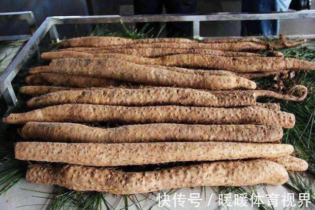 多吃|买山药,不要只会看粗细,学会这4招,挑到好山药,会买了多吃点