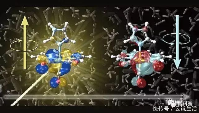 当一个分子被光击中时，会发生什么这或许是你们常人所想不到的