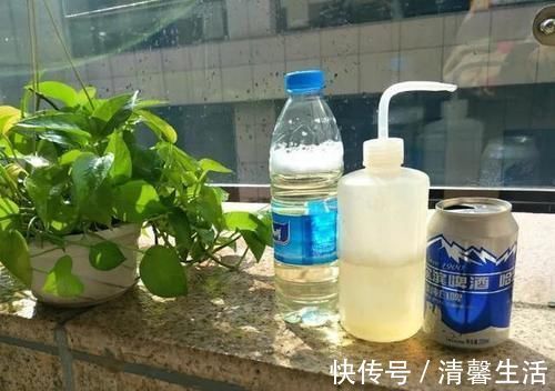 都知道啤酒养花好,然而,没掌握住“浓度配比”却会出大事