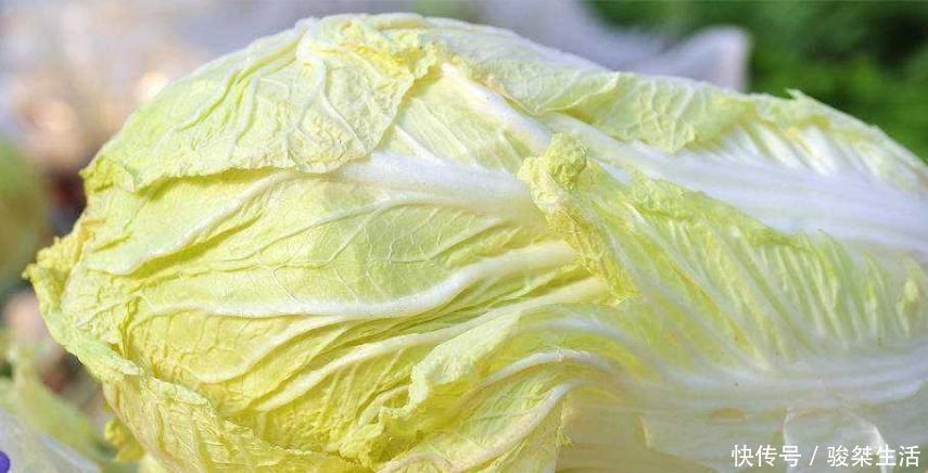 白菜|你还在吃大白菜吗?真后悔今天才了解到,要牢记转告给家里人