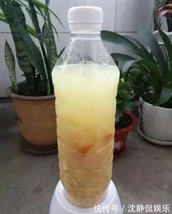 黄豆肥有“臭味”,试着加1种“小东西”,养花好用,肥效充足!