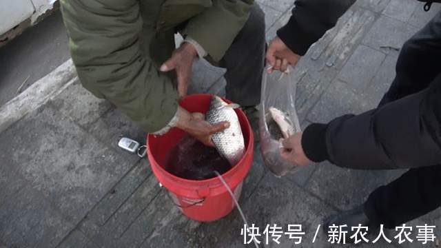 江苏一大爷钓鱼上瘾,严寒中从凌晨守到下午,老伴的做法令人感动