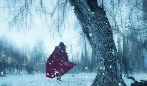 搴帷!清代一诗人,大雪纷纷的夜晚写下一首诗,字字让人落泪