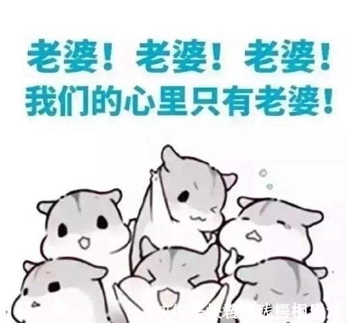 |搞笑段子:同宿舍的一位胖妹子特别爱吃,家里给的生活费不够。