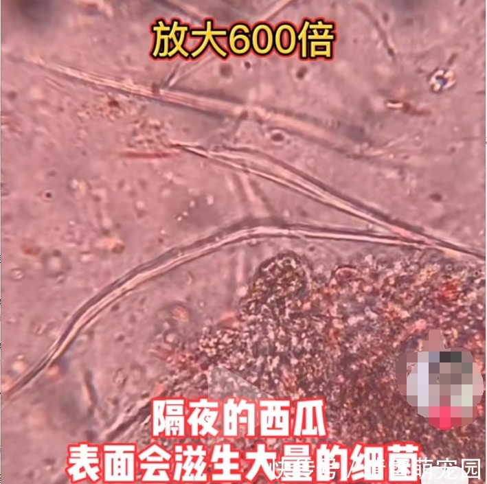 胃肠炎|夏天养娃,家长远离这几个禁区,孩子才会少生病才能“长高个”