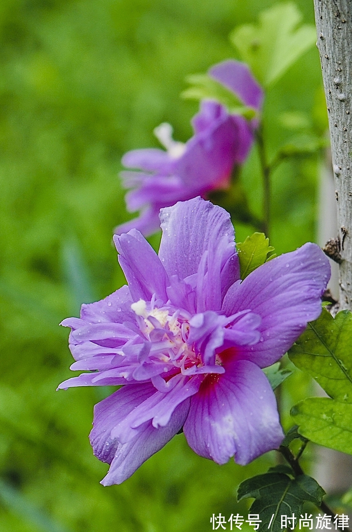 心扉|8月上旬，不甘认命，改写结局，打开心扉，主动示爱，开启热恋