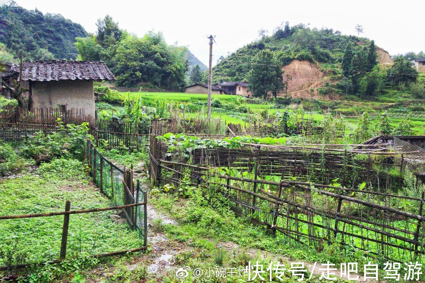 戴云村|不被外界打扰！戴云山下的千年古村落，一个鲜有人知的世外桃源