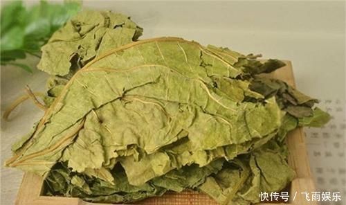 小小桑叶,大有用途,坚持泡水喝,4大好处会让你“开心不已”