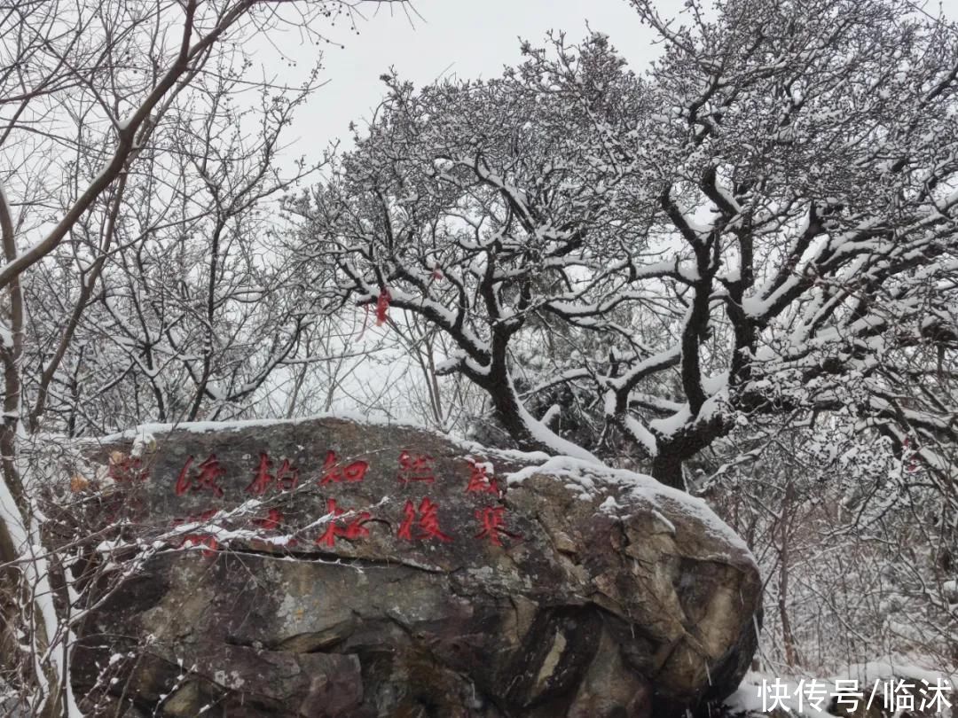 心动的感jio !！临沭绝美雪景大片，如诗如画