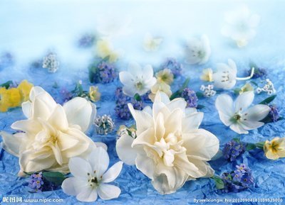 婆媳关系|婚姻中“最好命”的三大生肖女,丈夫没有发言权,婆媳关系融洽