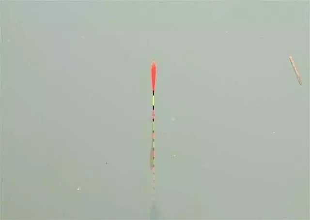 无子线调漂的两种常见思路,一种用于钓大鱼,一种灵活多变