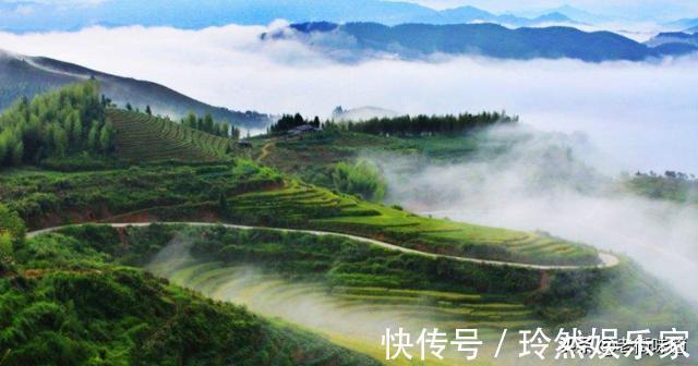 陆游&什么是茶什么是茗,诗词中为何有时用茗、有时用茶