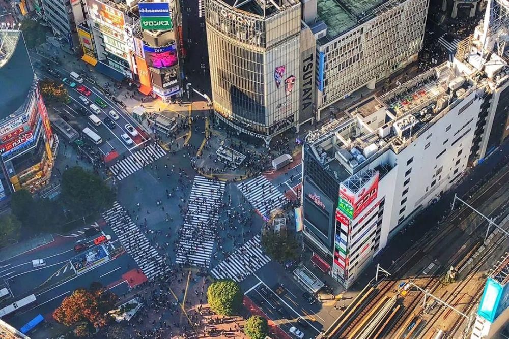  年度|2020年度日本空间设计奖：“空间”不仅是物理空间，还是....