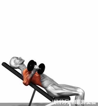 健身房|如何打造完美胸肌?一副哑铃就够了,每天10分钟练爆你的胸肌!