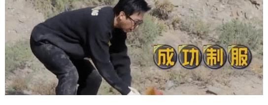 邓超愤怒不再录制《五哈》，疑节目组针对超哥？抓鸡撵猪被坑惨