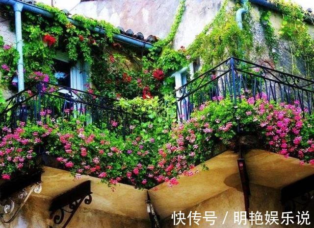阳台|四川发现一户人家阳台，真是有才了，百闻不如一见，拍给大家瞧瞧