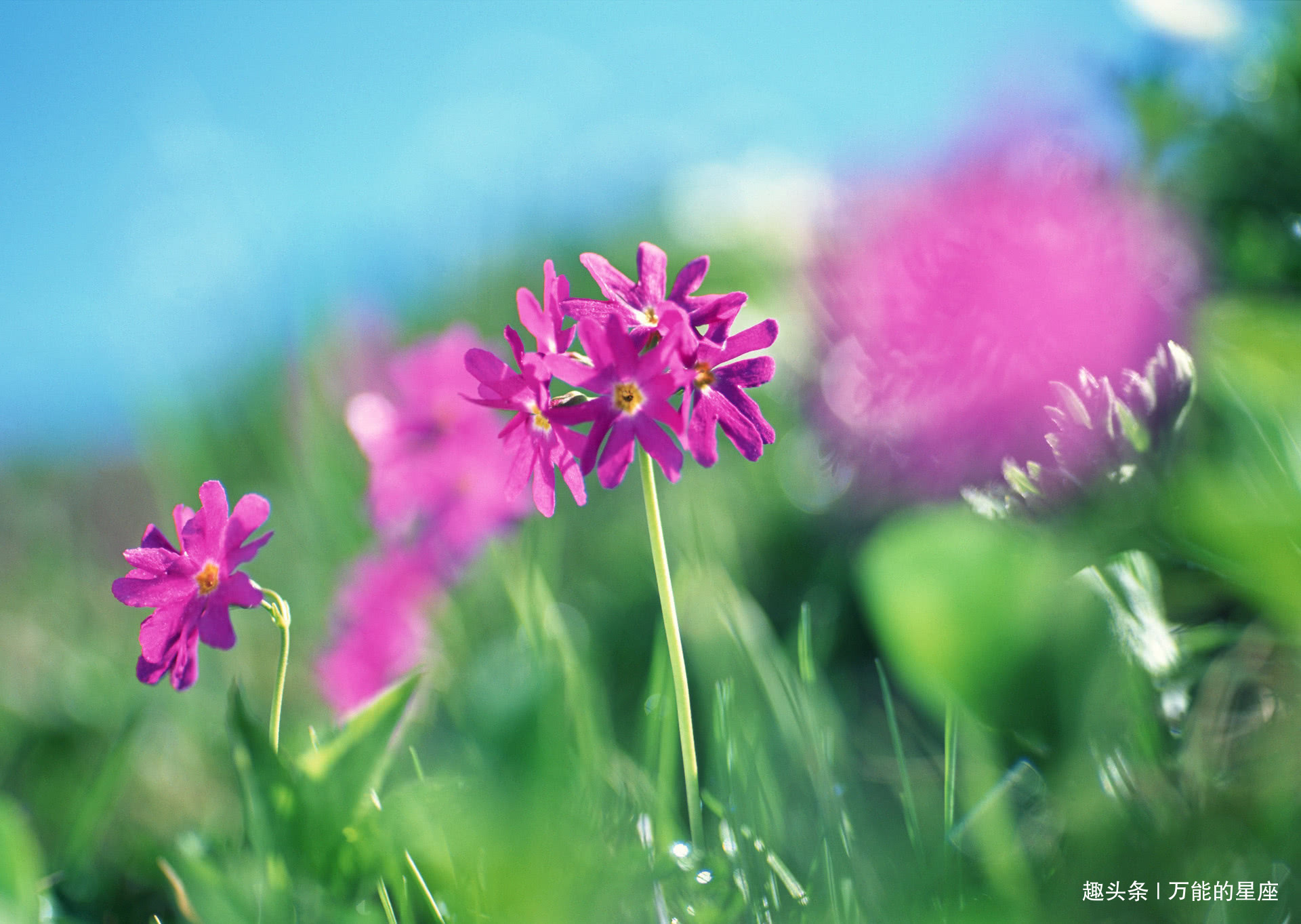 婚姻|谁家娃这4天出生,长大有出息成就大业,婚姻美满,孝顺父母!