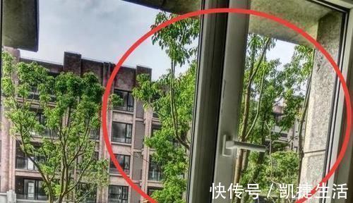 装修|装修时能不能把开发商装的窗户换掉别等吃亏了才后悔