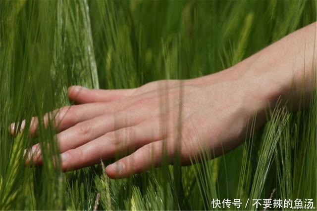 会出现手抖|老人手抖是怎么回事