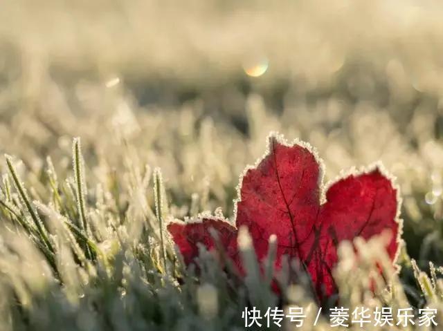 虚情假意|人到50，如果不在四个方面“心狠”一点，难免晚境凄凉