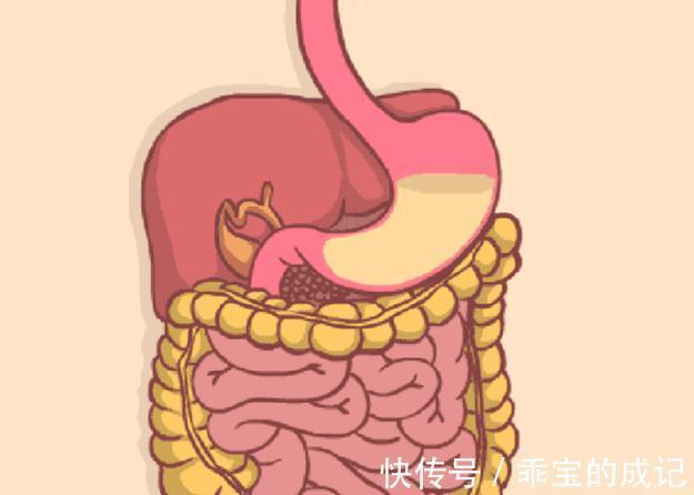 积食|3个方子是脾胃的“保护伞”,日常不妨孩子吃一点,可消积食