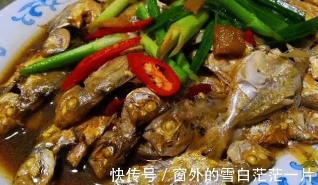 巴浪鱼|这四种常见但却不常听,便宜又好吃的海鱼,你有吃过吗