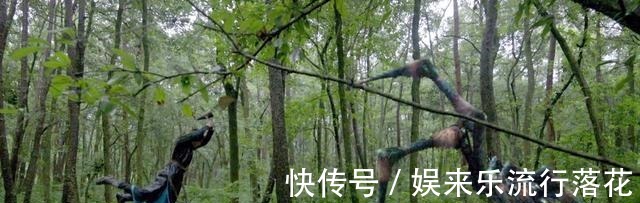 双生武魂|斗罗大陆唐昊教唐三玄玉手、紫极魔瞳肖战背锅编剧大有深意