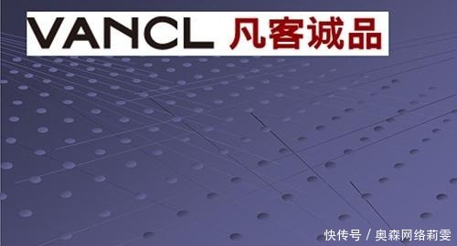 衰落|合纵连横也无法突围,曾是电商巨头,他的日渐衰落到底怎么了?