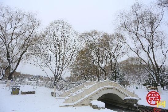 雪后植物园天地一色宛如“童话世界”