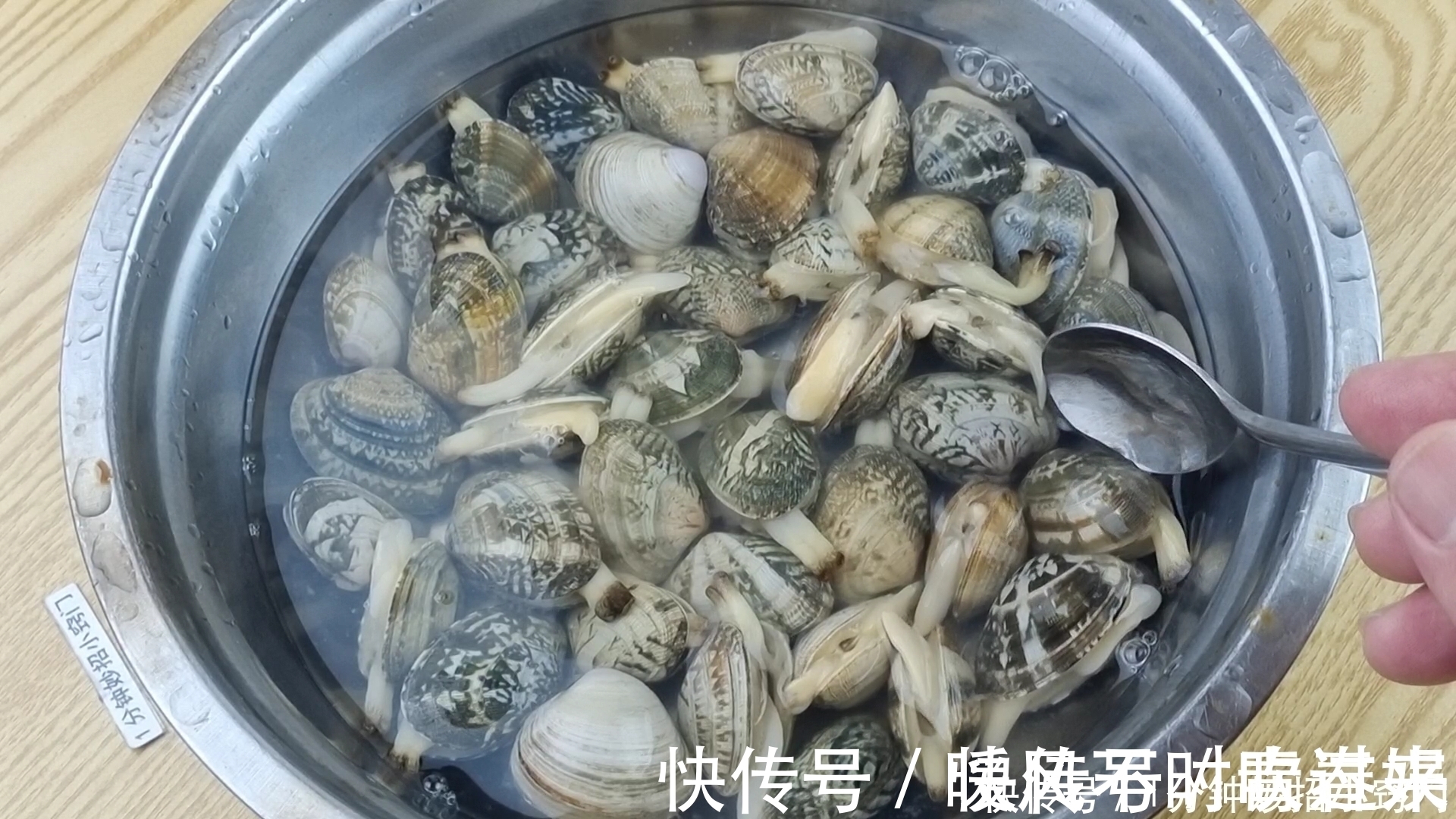 洗花蛤时,不要加盐了!老渔民:教你一招,花蛤疯狂快速吐沙