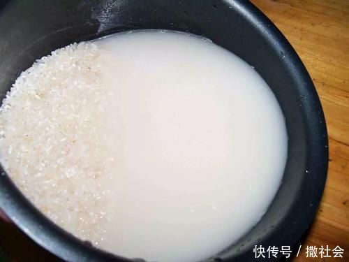 如果你有5个“坏习惯”,恭喜你,是养花高手!